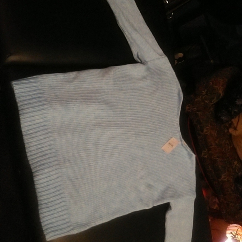 Ann Taylor Loft sweater